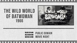 The Wild World of Batwoman  Movie Night [upl. by Madaih]