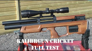 REVIEW Kalibrgun Cricket Air Rifle  The Truth [upl. by Nihs]