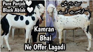 Offer Offer 🔥 Punjab Or Sindh Dono Ka Vip Maal Sastey Daam Mai 42 ka 44 Ka 53 Ka Pair [upl. by Elmo]