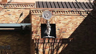 Disney Pixars Luxo Jr dancing lamp animatronic at Disneys Hollywood Studios in Walt Disney World [upl. by Darcee]