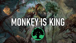 You Will Never Want to Play Any Other Deck Again  Standard Mono Green [upl. by Fried154]