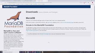 How to install MariaDB on Windows 10 [upl. by Ycaj505]