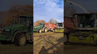 CLAAS JAGUAR 970 AND JOHN DEERE 8310R [upl. by Zimmer]