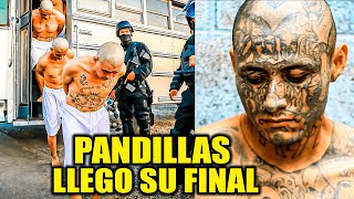 PANDILLEROS LLORAN EN LA CÁRCEL Y BUKELE DA EL GOLPE FINAL PARA ELIMINARLOS [upl. by Cleodel452]