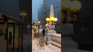 Welcome to Chicago where winter magic comes alive❄️⛄🤍☁️✨📍Michigan Ave Chicago IL 🇺🇸➡️ [upl. by Celesta]