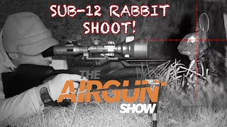 The Airgun Show  Day and night rabbit hunting  Daystate Wolverine air rifle review [upl. by Stephi]