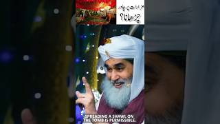 Mazar Par Chadar Chadana Kaisa   Maulana Ilyas Qadri  ilyasqadri shortsfeed [upl. by Colville]