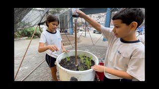 Ecodomo produzindo alimento e conhecimento [upl. by Pyle]