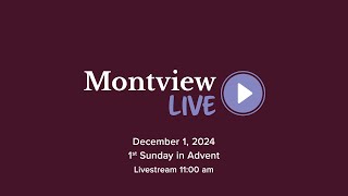 Montview Live 11am December 1 2024 Rev Dr Lorraine Leist [upl. by Asirret232]