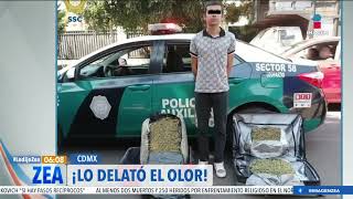 Detienen a joven en la TAPO por intentar viajar con 20 kilos de marihuana  Noticias con Paco Zea [upl. by Strade]