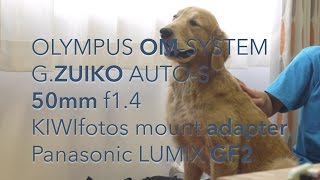 Vintage Lens OLYMPUS OMSYSTEM 50mm f14 MF on Mirrorless Camera [upl. by Milman864]