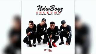 NdwBoyz Feat Mbali Ngidi  SHUKUMA [upl. by Eckart]