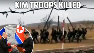 Ukraine wipes out 40 ‘elite’ North Korean soldiers in bloodbath as Putin plan backfires [upl. by Mackie862]