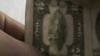 OWL on 2dollar bill [upl. by Vasti]