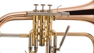 The Ray Farr Signature Flugel Horn [upl. by Wilber]