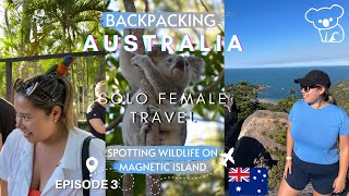 So much wildlife 🐨 🦜 visiting Magnetic Island 🏝🦘 Ep 3 Solo Female Backpacking Australia 🇦🇺 [upl. by Aibun]