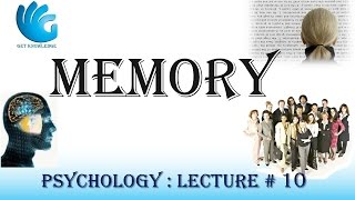 Memory  Psychology Lecture  10 [upl. by Aligna618]