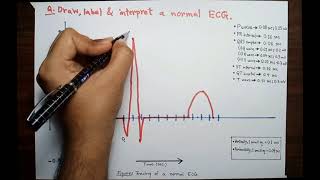 ECG for 1st professional examination [upl. by Coppinger560]