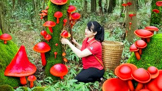 How to harvest Wood Ear Fungus goes To Market Sell  Harvesting and Cooking Tieu Vy Daily Life [upl. by Nesiaj]