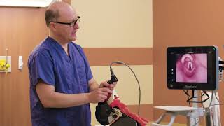 Optimal GlideScope Hyperangulated Blade Positioning Technique by Dr Rich Levitan [upl. by Assenov525]