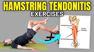 5 Rehab Exercises for Hamstring Tendon Pain [upl. by Hcra447]