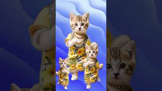 Beautiful Cat dance video shorts cutepet [upl. by Llennoj]