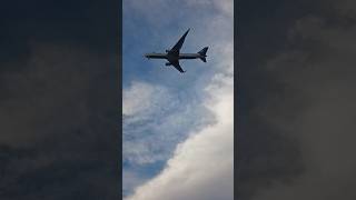 Amerijet Boeing 767323ERBDSF N347CM Approaching to Miami from Cibao Airport as M6830 shorts [upl. by Etam]