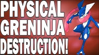 Pokemon X and Y  Physical Greninja Moveset Is Beastly [upl. by Vinay]