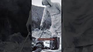 This DISTURBING Photo Was Taken at Japanese WWI Research Unit 731 shorts [upl. by Rumney]