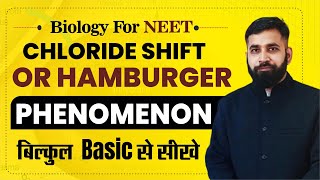 Chloride shift or Hamburger phenomenon NEET BIOLOGY [upl. by Narag357]