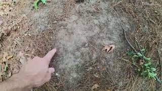 Real bigfoot evidence found with LARPER VISION [upl. by Abana]