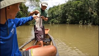 Un hermoso dia de pesca una grande tilapia y mojaras copetonas [upl. by Gnuh]