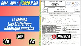 QCM1 2020 N BIOF  La méiose  les lois statistiques  la génétique humaine [upl. by Rednasyl512]