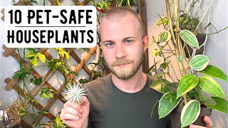 10 Interesting NonToxic Houseplants [upl. by Ardnek]