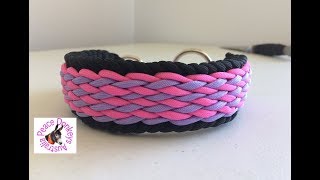 Wavy falls paracord dog collar instructions [upl. by Annala]