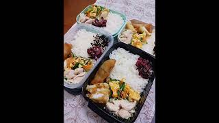 おかん弁当 冷凍食品助かります202411 [upl. by Romilly]