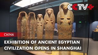 Exhibition of Ancient Egyptian Civilization Opens in Shanghai [upl. by Nwahsel404]