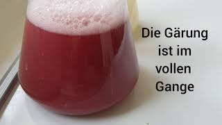 Die Alkoholische Gärung [upl. by Landing842]