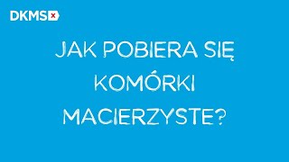 Jak pobiera się komórki macierzyste  Fundacja DKMS [upl. by Lamphere]