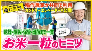 【役員が明かす】ＪＡ晴れの国岡山のヒミツ『カントリーエレベーター』 [upl. by Edals]