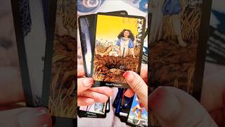 Organizing Anna K Tarot Card deck [upl. by Jerroll]