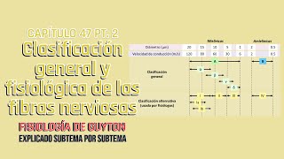 CAP 47 23 Clasificación general y fisiológica de las fibras nerviosas l Fisiología de Guyton [upl. by Ymia]