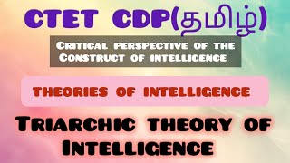 Triarchic Theory of Intelligence by Sternberg for CTET CDP in tamil👉 [upl. by Ayotnahs652]