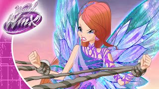 Winx Club  World Of Winx  Ep12  The Watchmaker Clip [upl. by Leonid224]