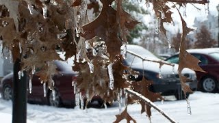 Valentines Day IceSleet Storm 2007  Montgomery Village Maryland [upl. by Bastian733]