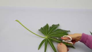 Ikebana Tips by Junko 14 modifying leaves [upl. by Korten328]