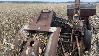 Picking ear corn “The Right Way” with the new idea picker and IH 1486 [upl. by Mccafferty]