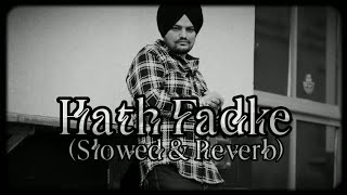 Hath Fadke  Latest Slowed And Reverb Song 2024  Sidhu Moose Slowed And Reverb Song  Punjabi Song [upl. by Pardoes]