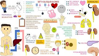 Antihipertensivos Beta Bloqueadores [upl. by Ettore]