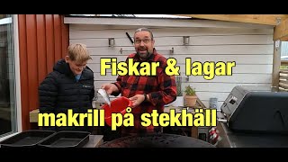 Makrill på stekhällen [upl. by Rebm148]